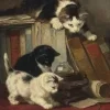 📚