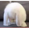 😭