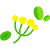 🌿