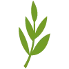 🌿