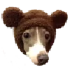 🐻