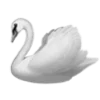 🦢