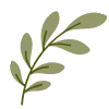 🌿