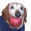 🍎