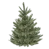 🎄