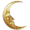 🌙