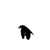 🐦‍⬛