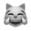 😹