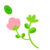 🌿