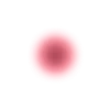 ✨