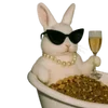 🐰