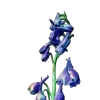 ♾