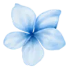 💙