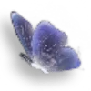 🦋