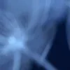 ♾