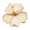 🌼