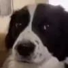 ❓