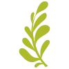 🌿