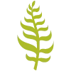 🌿