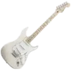 🎸