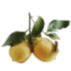 🍋