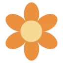 🌼
