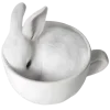 🐰