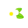 🌿