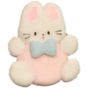 🐰