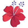 🌺