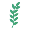 🌿