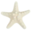 ⭐️