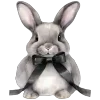 🐰