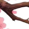 ⭐