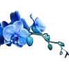 ♾