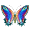 🦋