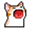 🙀