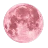 🌚