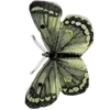 🕊️