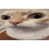 🤦