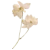 🌾