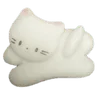 🐱