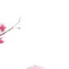 ⭐