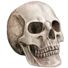 💀