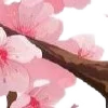 ⭐