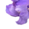♾