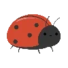🐞