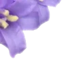 ♾