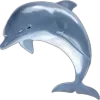🌟