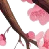 ⭐